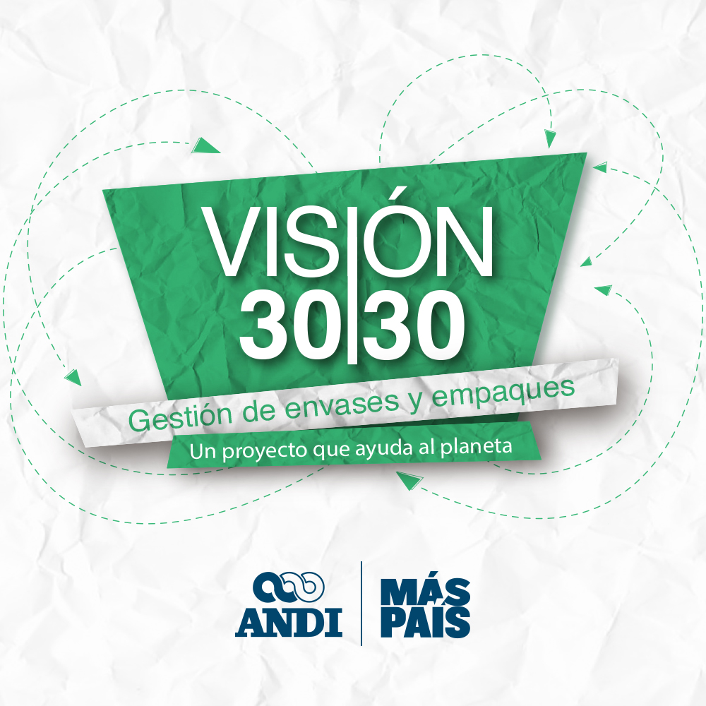 visión 3030