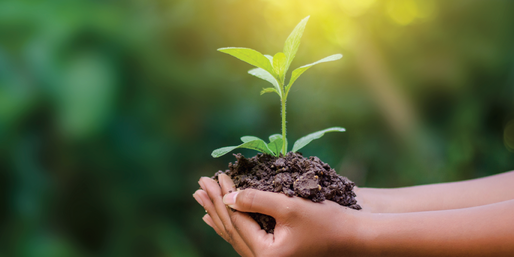 Por un futuro sostenible