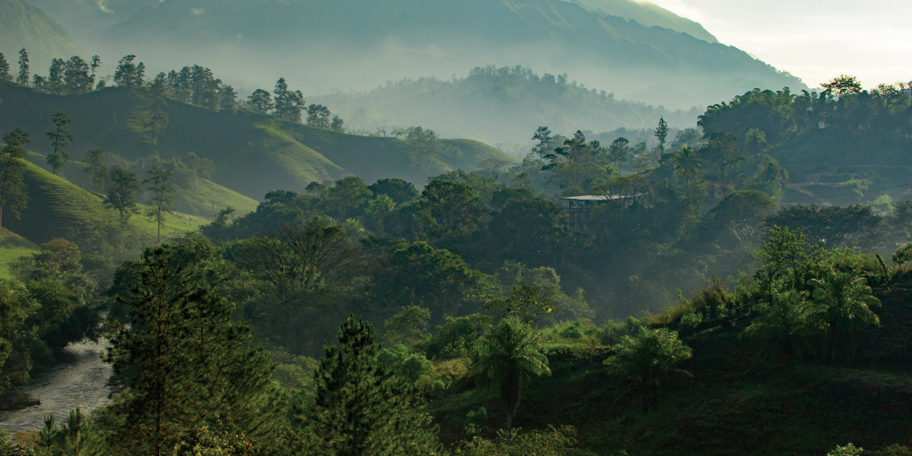 Compensaciones ambientales más efectivas 