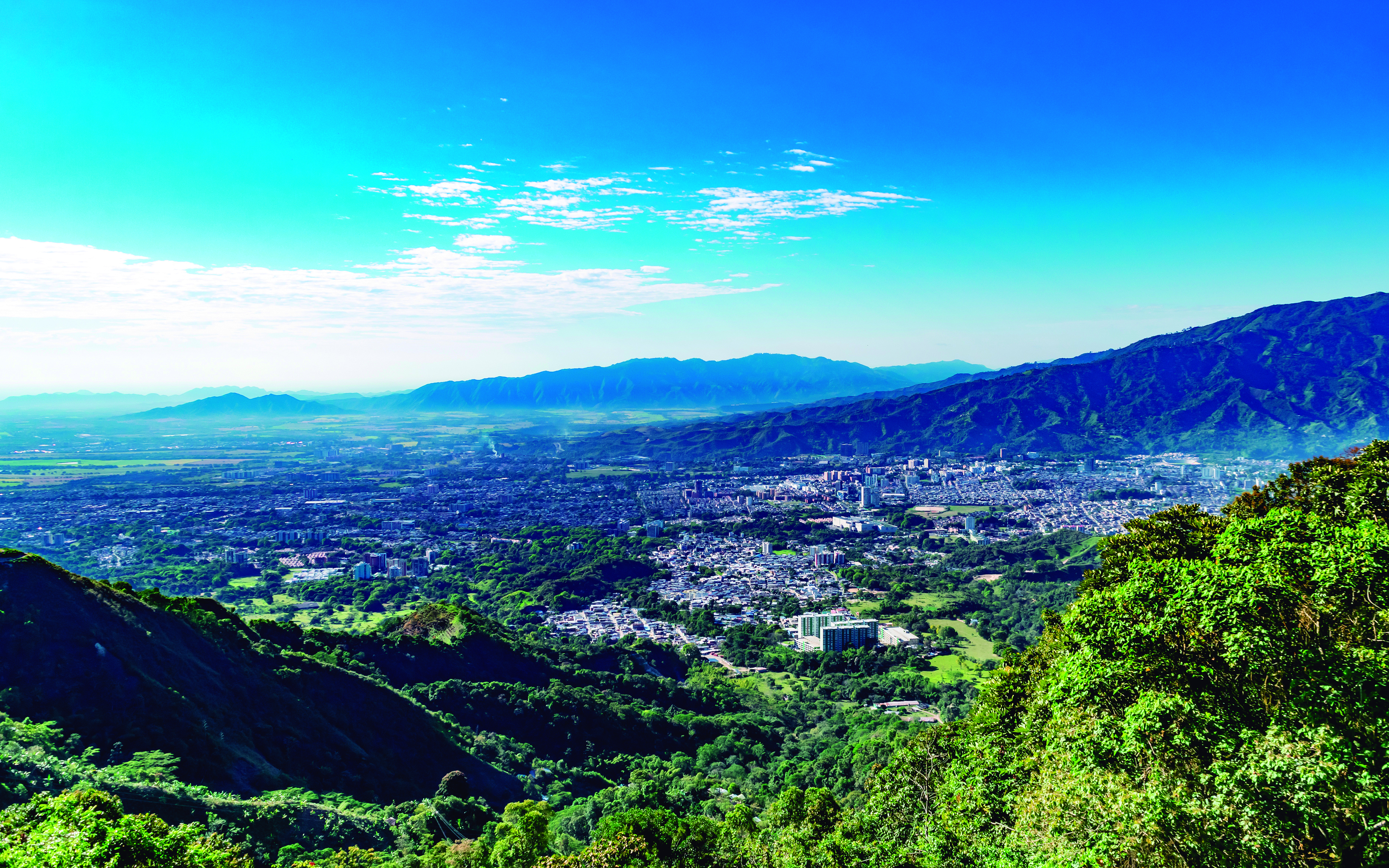 El Tolima traza la ruta que le permitirá desarrollar el potencial de su biodiversidad